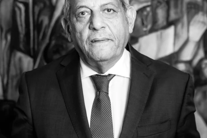 Emad El Shalakany